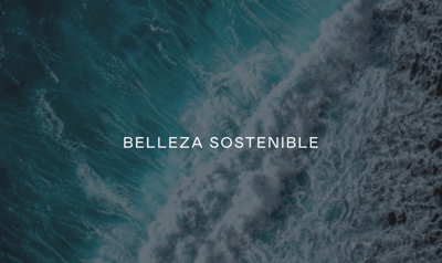 Captura de Pantalla 2022-02-17 a la(s) 11.51.56