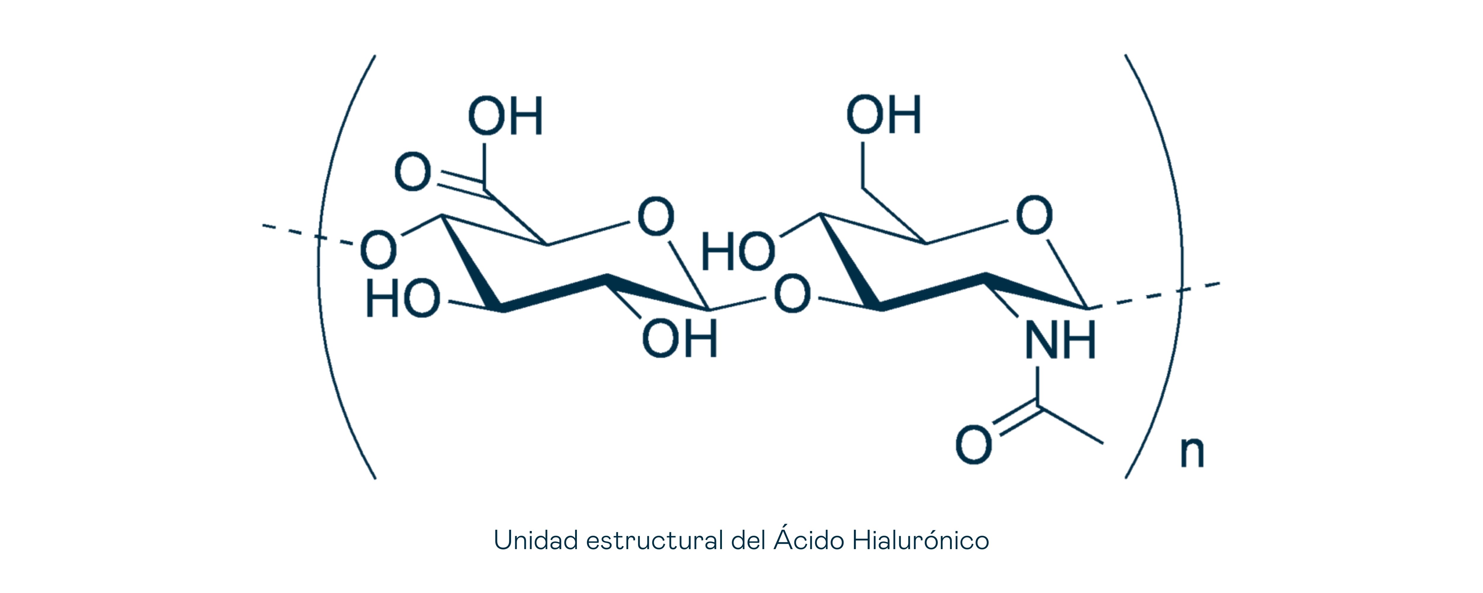 Unidad estructural ácido hialurónico