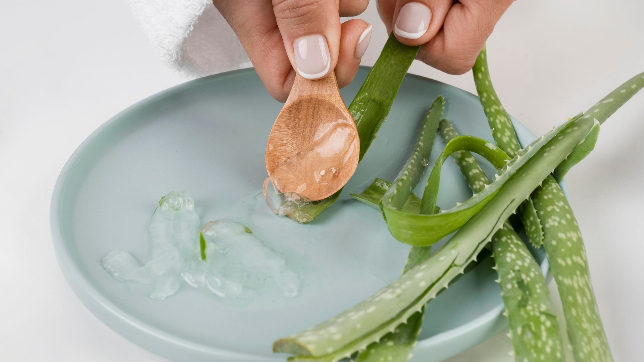 aloe vera cosmetica