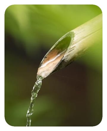 beneficios agua de bambú