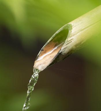 agua de bambu
