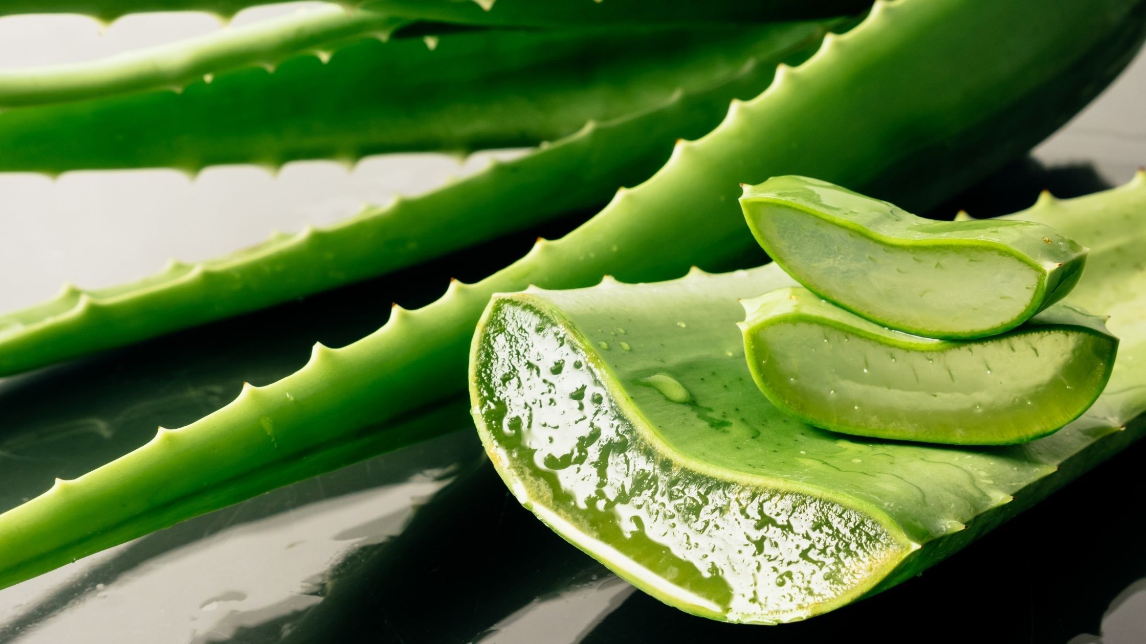 aloe vera en cosmetica